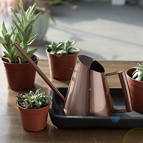 Regador doméstico de aço inoxidável vaso de jardim planta verde flor jarra de rega bronze com bocal