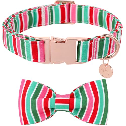 DOGWONG NX}X̎ցAlN^CA\tgRbgA킢NX}XqlbNX ^^