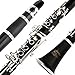 Glory B Flat Clarinet with Second Barrel, 11reeds,8 Pads cushions,case,carekit -Black with silver keys