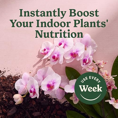 Miracle-Gro Water Soluble All Purpose Plant Food, 5 lbs. (6-Pack) - image 8