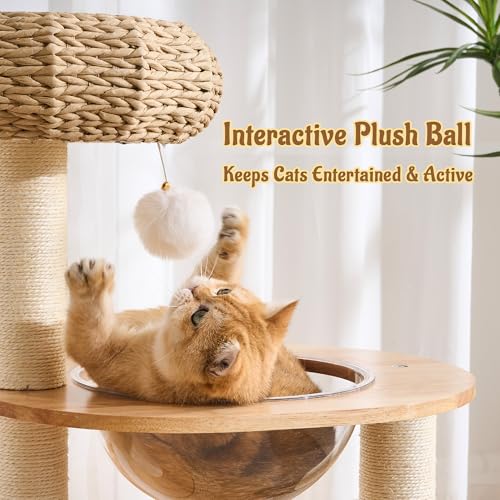 Árbol moderno para gatos pequeños y medianos de interior, 38" alto, madera y ratán miniatura 5