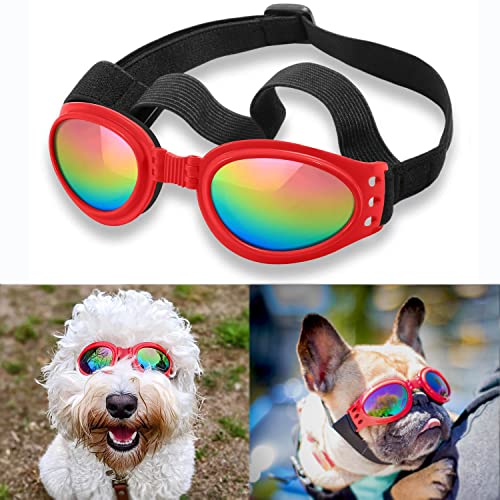 8 Best Dog Motorcycle Helmets, Goggles, & Combo Kits!