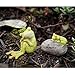 Top Collection Miniature Fairy Garden and Terrarium Statue, Frog Resting