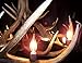 Real ELK Antler Chandelier, 8 Lights, SHED Antler Art, ELK Antler Covered SOCKETS Handmade, Large, 45