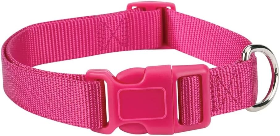 Dog Collar Bulk Packs 50 Pink Nylon Shelter Rescue Vet 4 Adjustable Sizes (6 to 10 Inch)