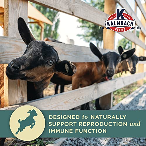Kalmbach Feeds Milk Maker Goat Feed Pellets - Thumbnail 5