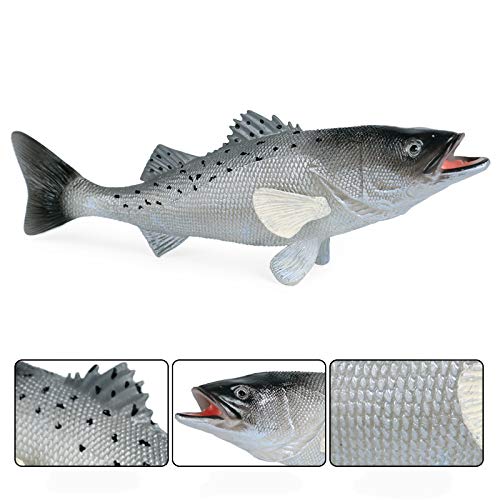 魚フィギュアばら売り Amazon | カロラータ 古代魚 フィギュア 立体