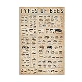 Dreacoss Bee Types Vertical Poster, Types Of Bee Poster, Knowledge Poster, Bee Lover, Honey Bee Lover,Living room wall decoration, frameless 12x16inches,12 x 16 in No Frame