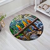 EMFSLA Tapis De Bain Antidérapant,Tapis Moelleux en Microfibre,Ara Bleu et Jaune (Ara ararauna) également connu sous Le nom d'ara Bleu et Or sur Fond de ca,Absorbant l'eau,Lavable en Machine,60x60 CM