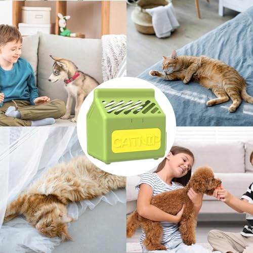Plantador hidropônico de grama para gatos, caixa para plantador de grama para gatos, Bandejas de ger