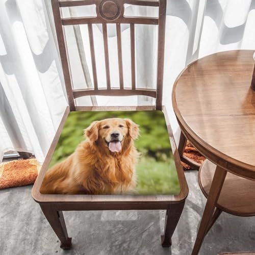 Cojín de perro Golden Retriever para sillas de comedor para disfrutar de comidas más cómodas 6