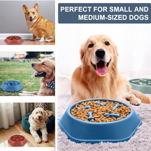 platos-para-perro, Pet Products Imagen adicional