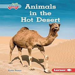 Animals in the Hot Desert copertina