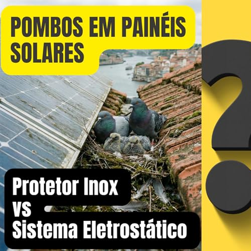 Debate: Pombos em Pain&eacute;is Solares &ndash; Barreira F&iacute;sica ou Sistema Eletrost&aacute;tico? (13 min)