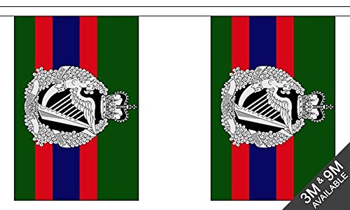 Flagtex Royal Irish Regiment Fabric Bunting – 9m with 30 Flags – Fabric for Indoor & Outdoor Use – String Flags Banners British Army Irish Infantry Regiment — image 1