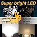 GIVEUBED DE3175 Led Car Bulb, 31mm 1.22in Festoon Car Lights,Super bright white DE3021 DE3022 Led Fit for Interior Map Door Dome lights,Pack of 6pcs