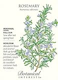 Rosemary - 30 Seeds - Heirloom/Perennial