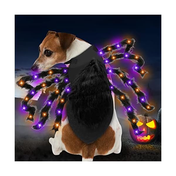 Camlinbo 24 led spider dog halloween costume for small medium large dogs, furry giant spider with orange purple lights puppy pet costume outfits clothes funny halloween costume party cosplay - image 3