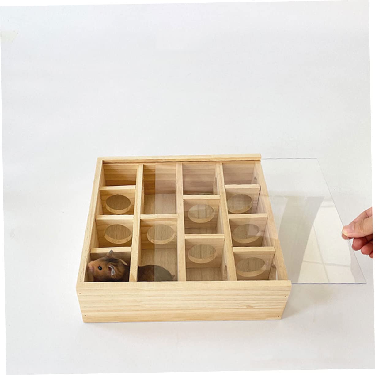 GALPADA Hamsterspielzeug Mehr Stück Mauslabyrinth für Kleintiere Fördert Gesundes Wachstum und Bietet Unterhaltsames Haushaltszubehör für Hamster