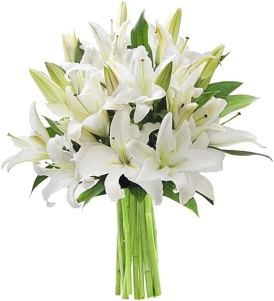 KaBloom - Pure Love Bouquet of Fresh White Lilies without vase - Fresh Flowers for Birthday, Valentine's & Mother's Day