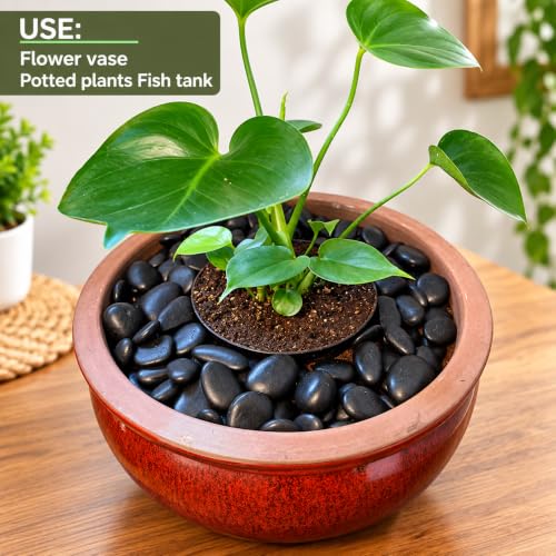 Image of ZYRON Black Decorative Pebbles for Plants, Home Decor, Garden, Aquarium & Landscaping, Smooth Polished Stones for Pots, Vases and Craft Projects - 2 kg