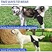 YihuaTop Dog Knee Brace Leg Braces - Adjustable Dog Leg Brace for Torn ACL Hind Leg Joint Pain Muscle Sore Pet Brace (M)