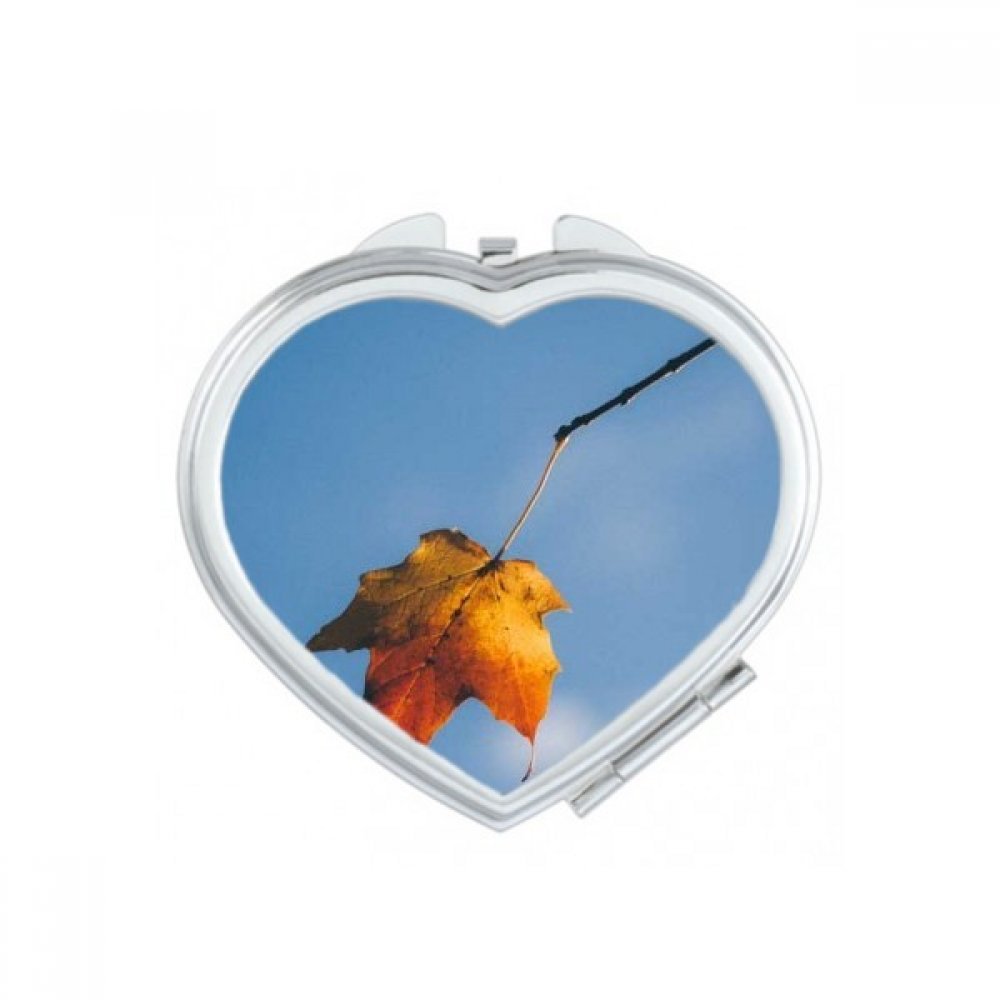 Miroir de maquillage mignon petit cadeau nature science pour femme