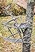 Third Hand Treestand Stabilizer Straps