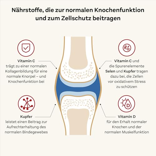 Doppelherz system KOLLAGEN 11.000 PLUS – Mit Nährstoffen, die zur Gesundheit des Bewegungsapparates und zum Zellschutz beitragen – 2x 30 Trinkfläschchen