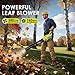 Leaf Blower Cordless with 2x4.0AH Batteries and Charger 580CFM 160MPH Electric Leaf Blower 2 Speed Mode Lightweight Battery Powered Leaf Blowers for Lawn Care Patio Garden Yard