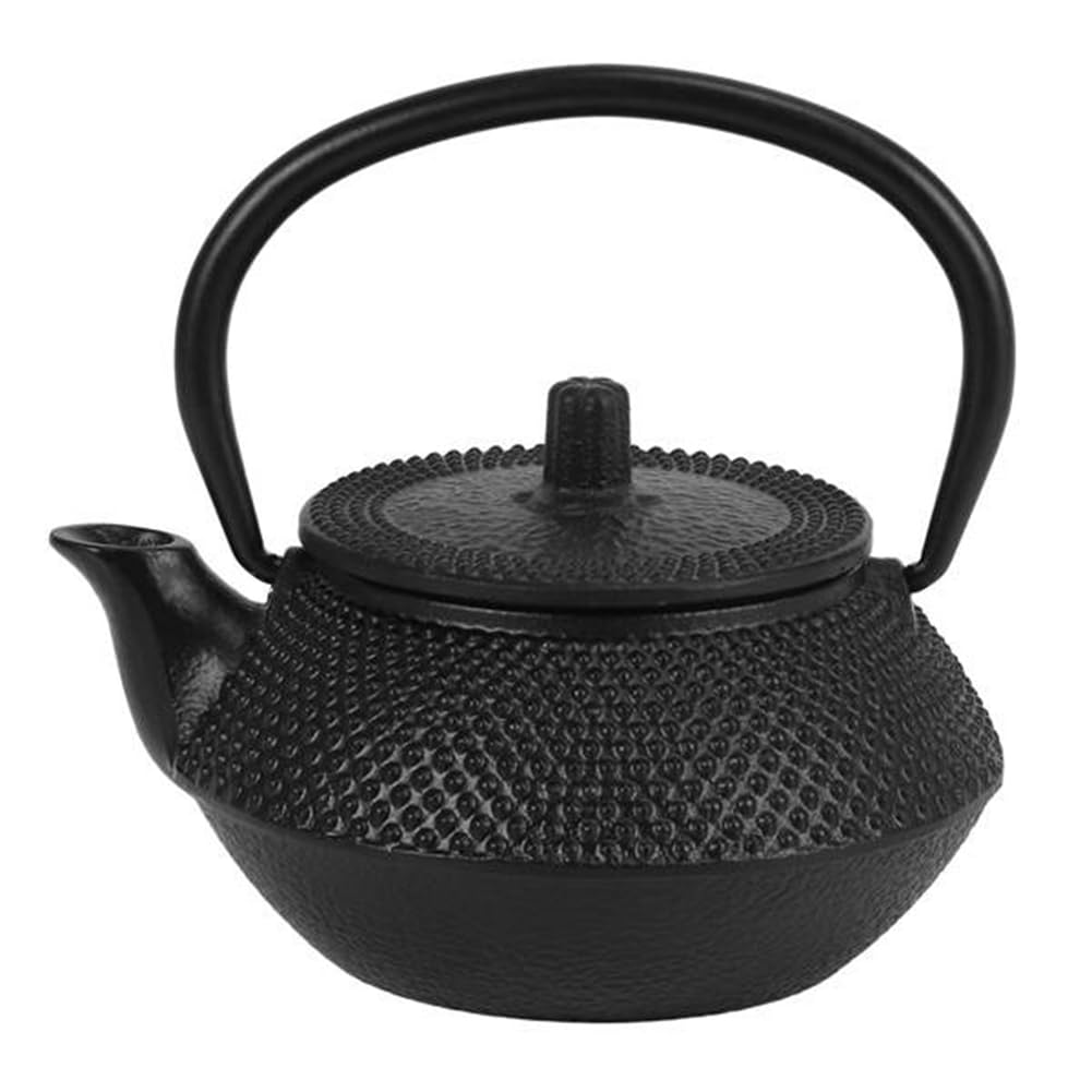 Cast Iron Kyusu Teapot with Stainless Strainer
