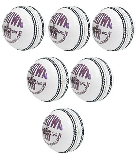 Balle de cricket blanche 20-20 match sport cuir CW lot de 6