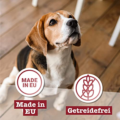 dogz finefood Hundefutter nass - N° 2 Rind - Feinkost Nassfutter für Hunde & Welpen - getreidefrei & zuckerfrei - hoher Fleischanteil, 6 x 400 g Dose