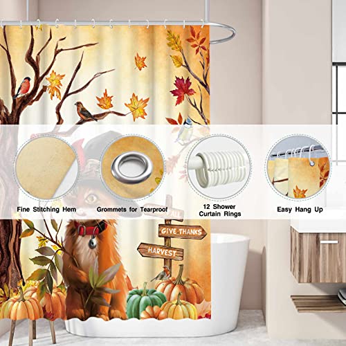Allenjoy 72" X 72" Autumn Cat Shower Curtain For Bathroom Set Thanksgiving Day Hello Fall Bird Animal Harvest Give Thanks Home Bath Bathtub Decorations Durable Fabric Machine Washable With 12 Hooks #TOP2