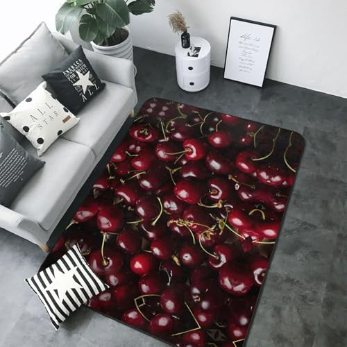 Alfombra de felpa 80x58 manta de piel sintética para salón dormitorio 5