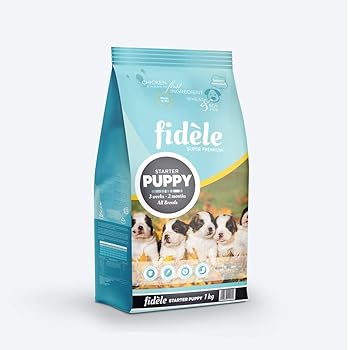 benefits of soaking dry dog food