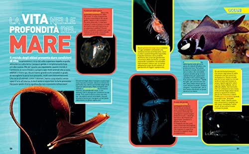 Enciclopedia Oceani - La Grande Enciclopedia Degli Oceani | Edizione A Colori | Guida Completa Alla Vita Marina, Atlante Illustrato - 12