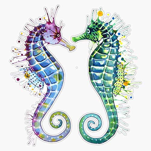 Image of Guardians of The Sea - Seahorse Vinyl Decal Bumper Sticker 5 inch