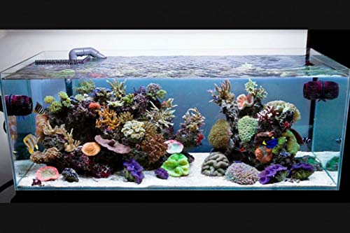 Parko Home Decoration Turtle Aquarium Tank Beautiful Fashion Clear Glass Mini Fish Tank Aqua Habitat (Aquarium Tank Only) (Colour May Vary) (B082MJTRQ8) Amazon Price History, Amazon Price Tracker
