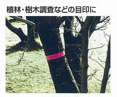 Amazon.co.jp: シンワ測定(Shinwa Sokutei) マーキングテープ