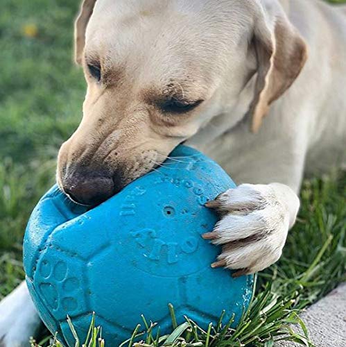 Jolly Pets Large Soccer Ball Floating-Bouncing Dog Toy, 8 Inch Diameter, Ocean Blue #TOP3
