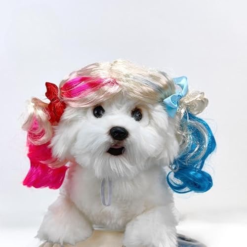 ZLBYXLU ybgpi   L nEB Jc  Lp EBbO ʔ L ʔ pi RXv p NX}XCu  p ʔ RX`[ ^ ^ ϐg o| U nEB[ NX}X (K)