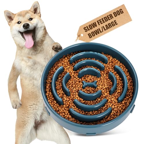 Comederos Perros Ansiosos Marca WHIPPY