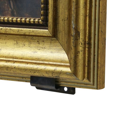 Image of Oedema 10 Pcs Picture Hangers Metal Picture Hanging Hooks Wall Hangers for Room Decor and Office Decor,Including Mirrors
