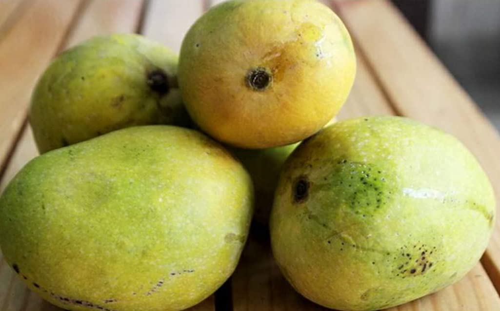 Nectar Garden Anwar Ratol Mango Plant-Grafted Variant Plant.