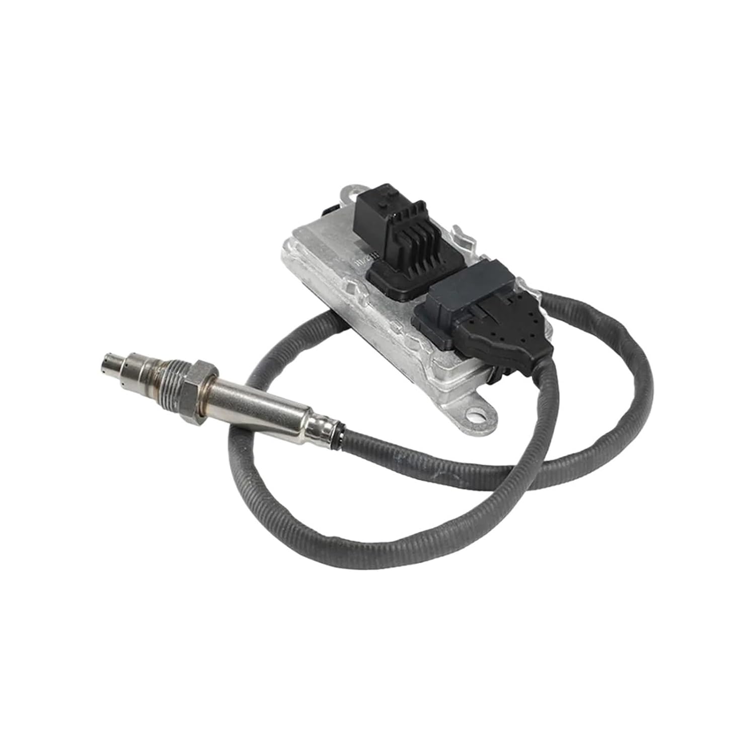 らん様 オーダー専用 ランページ 絵画オーダー用 ラン様専用