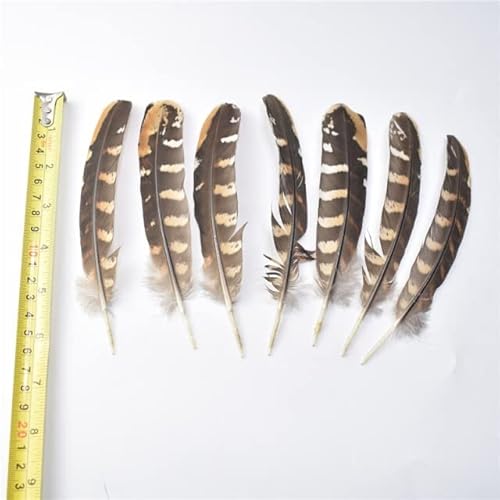LYFANG Verschiedene echte echte Adlerfedern, 10 Stück, 15–40 cm, Adlerfedern, für Bastelarbeiten, Hochzeit, Dekoration, Federn