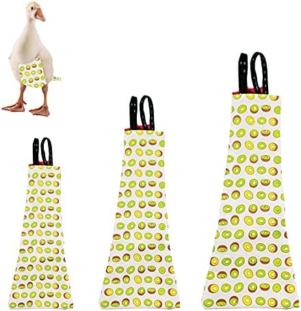 Chicken Duck Goose Diaper Washable Pet Fruit Print Diapers for Hens Roosters Poultry (Kiwi, Medium)
