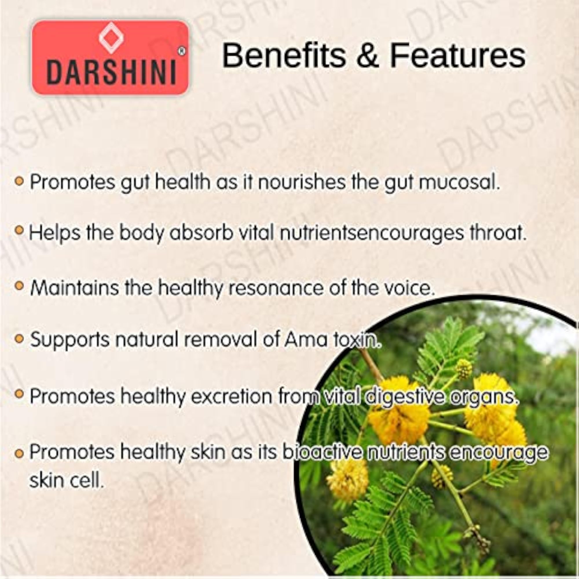 Darshini Babool Bark Powder, 200g for Health Benefits