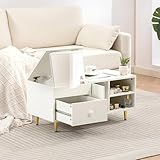 Dowinx ドレッサー コンパクト ドレッサーテーブル ローテーブル 大サイズ鏡 引き出し付き 収納沢山 おしゃれ 一人暮らし 省スペース 化粧台 ホワイト LS-66V1A-01B